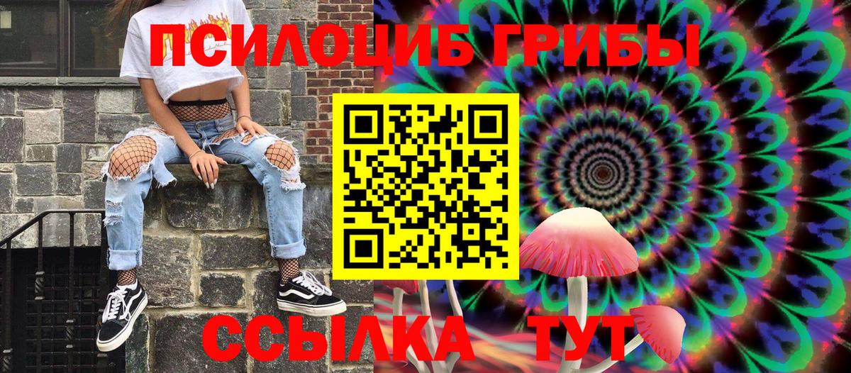 Псилоцибиновые грибы Psilocybe Зеленокумск